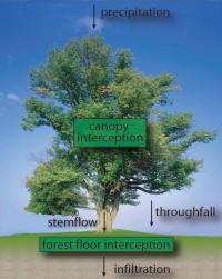 interception_types_text_small