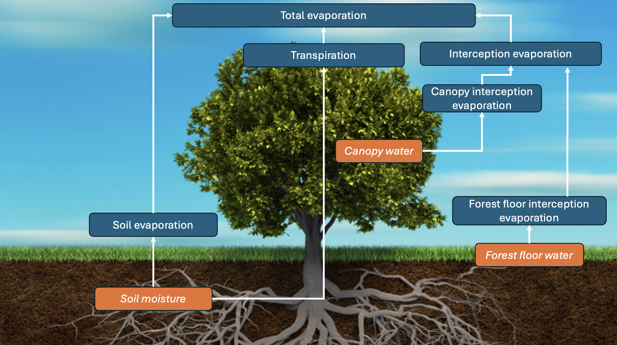 Screenshot 2024-12-29 at 15.09.05