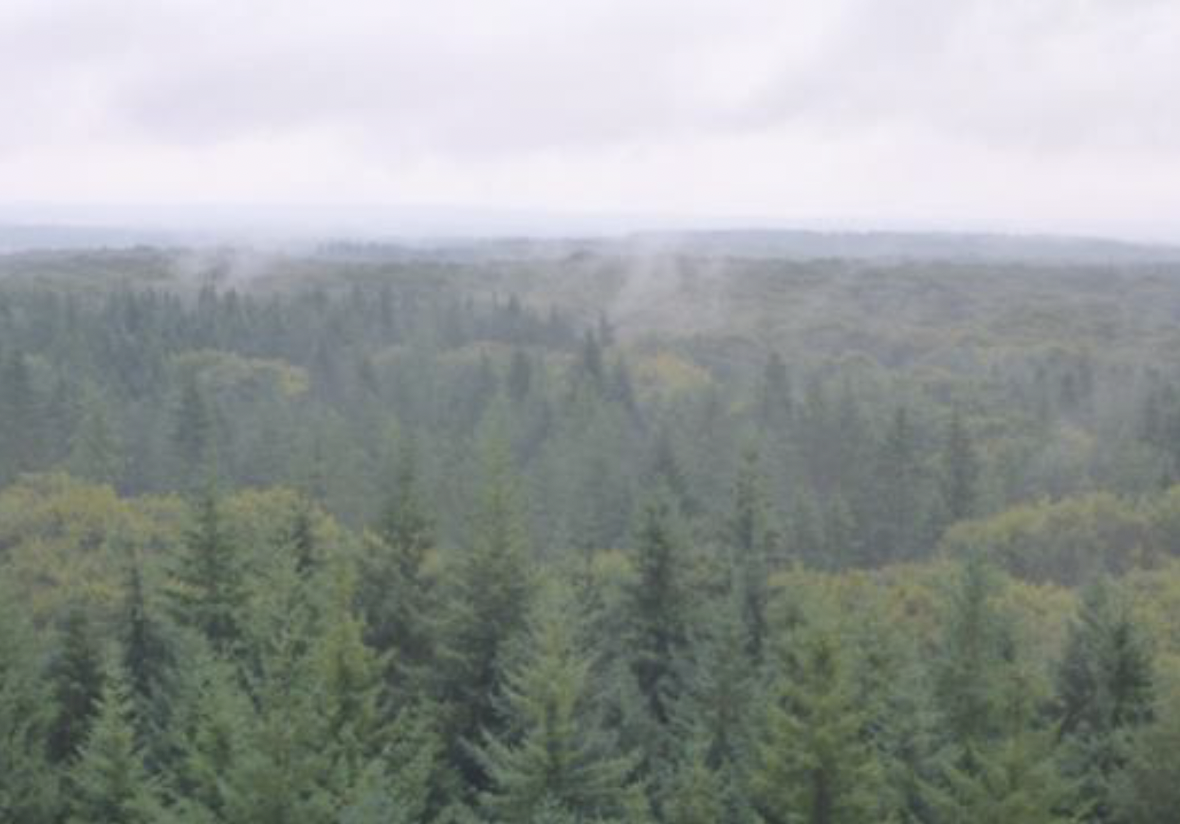 Screenshot 2024-12-29 at 15.12.51